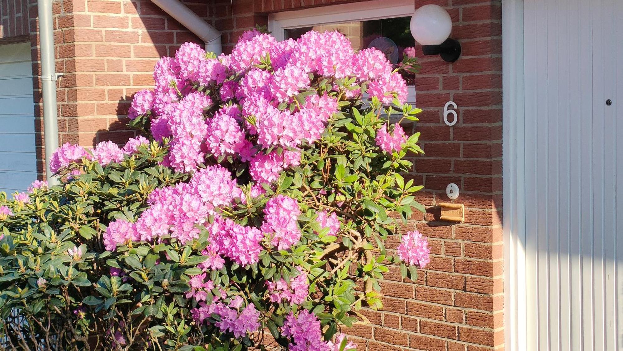 Homestay Sterne Luxus Heidesonne Jesteburg
