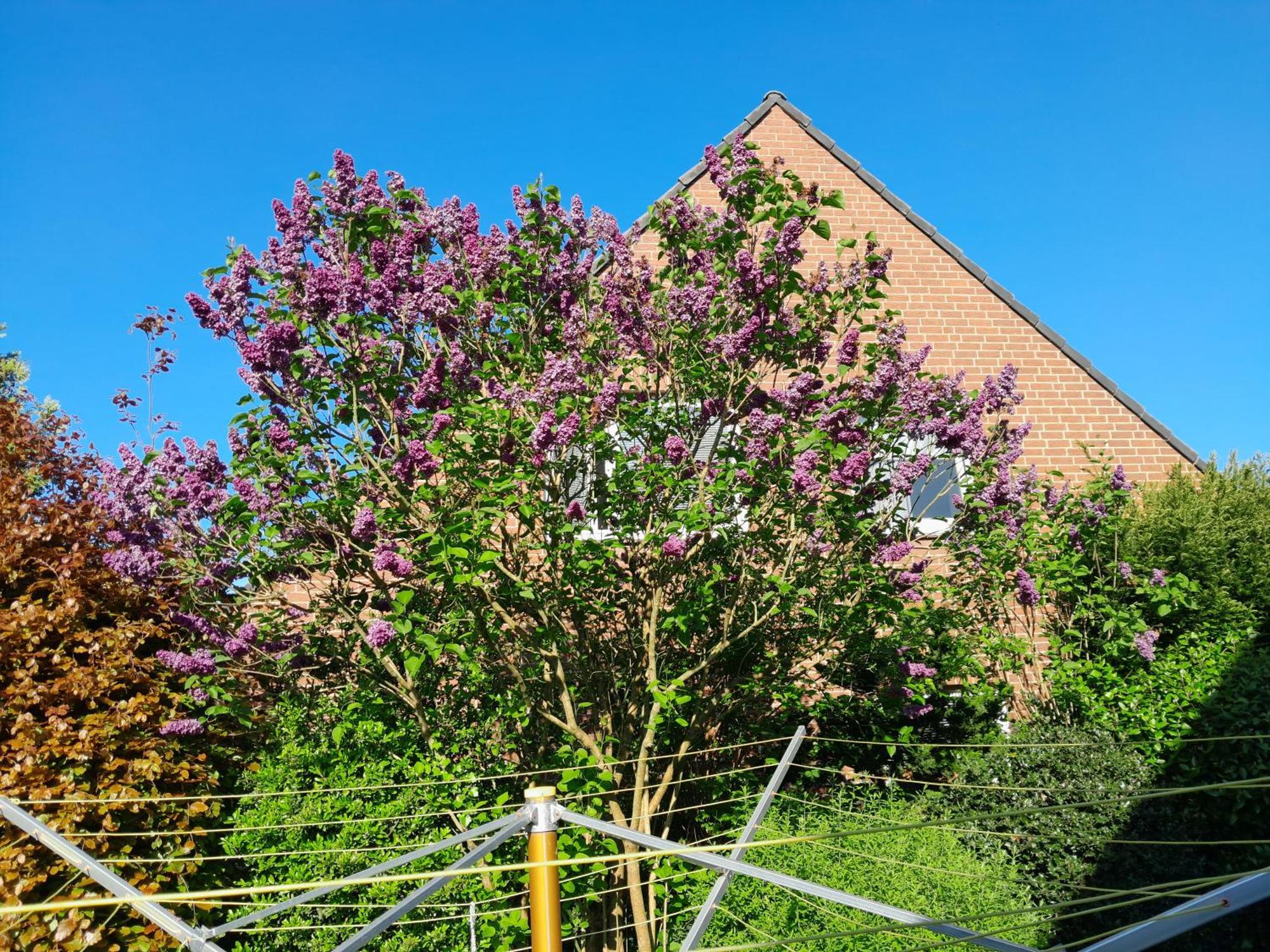 Sterne Luxus Heidesonne Homestay Jesteburg