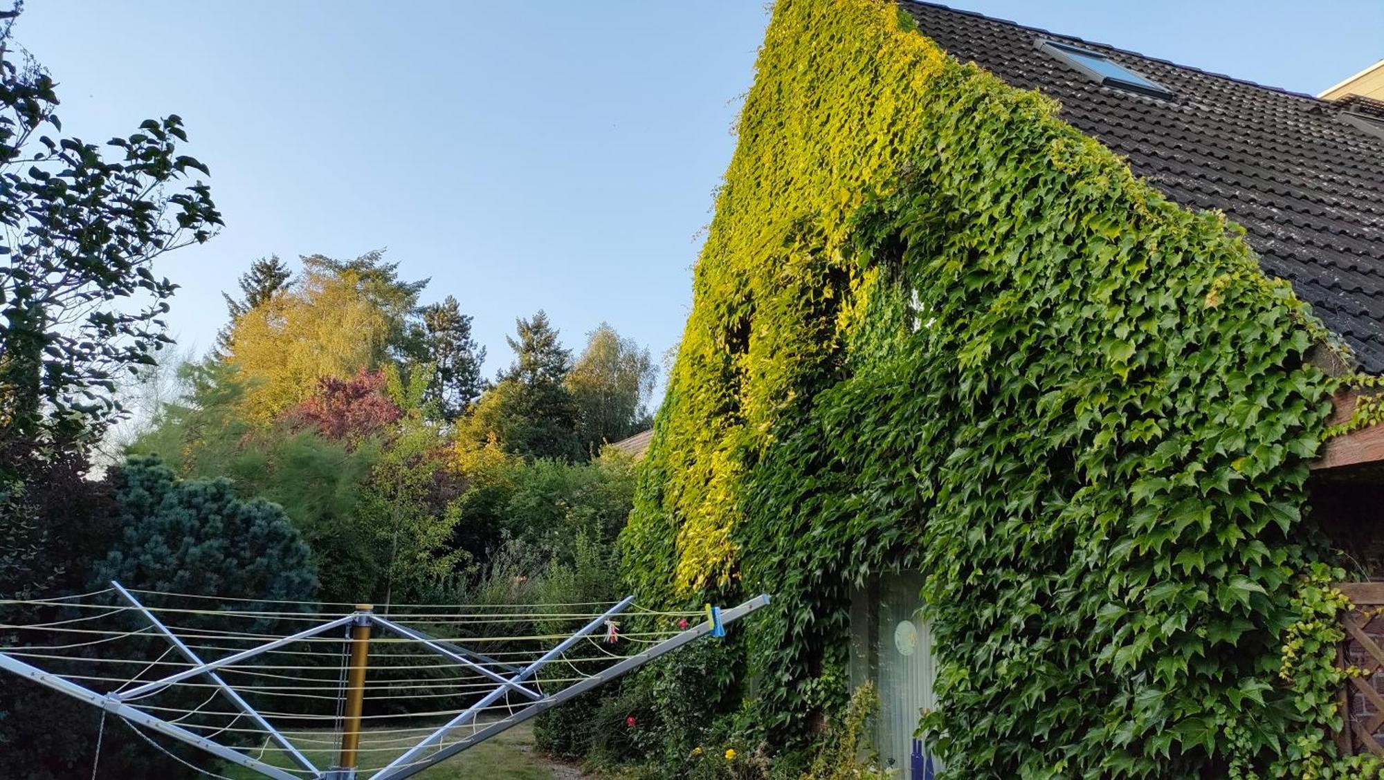 Homestay Sterne Luxus Heidesonne
